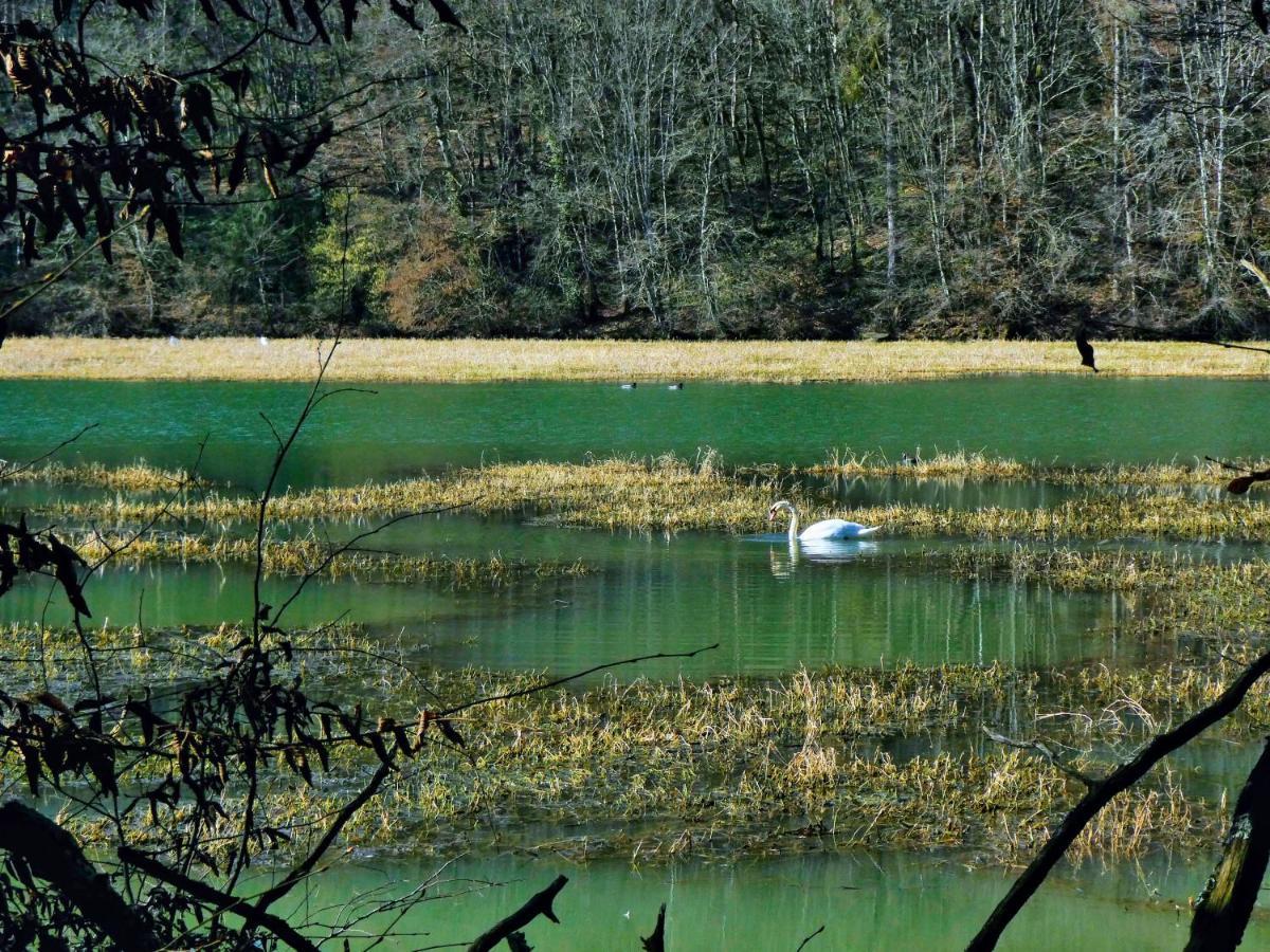 Gite De La Kelidoine Montigny-sur-Armancon Екстер'єр фото